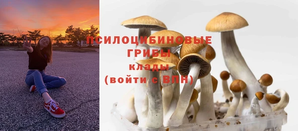 дживик Ладушкин