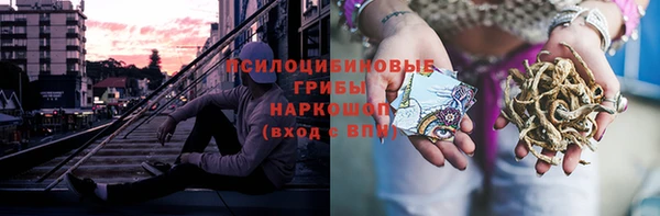 дживик Ладушкин