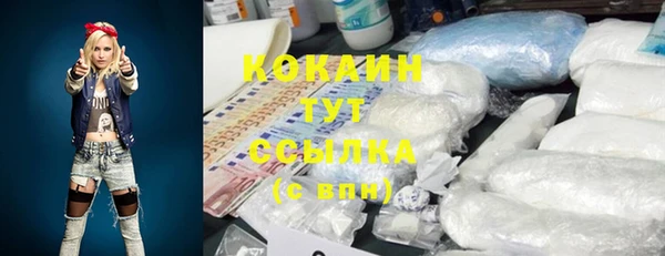 дживик Ладушкин