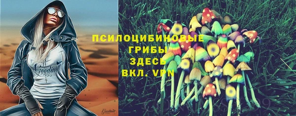 дживик Ладушкин