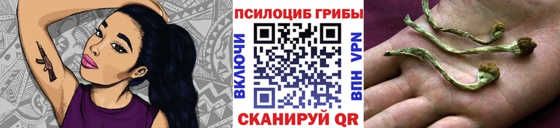 Галлюциногенные грибы Magic Shrooms  Купить  Далматово 